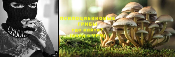 метадон Заводоуковск