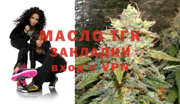 сатива Ельня