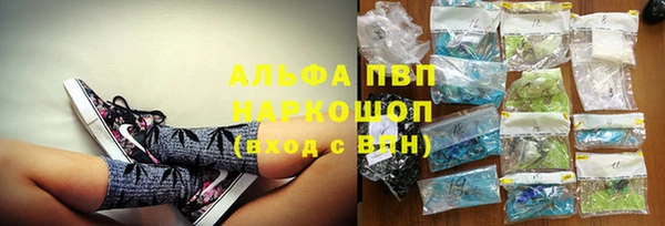 прущие грибы Аксай