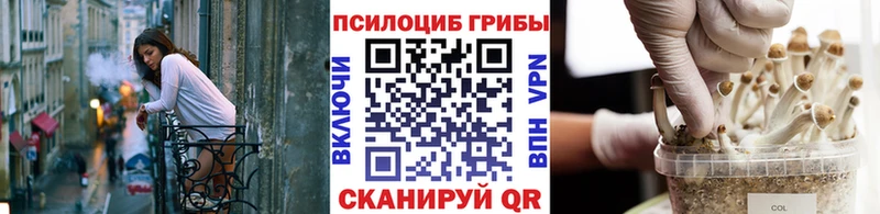 Псилоцибиновые грибы Psilocybine cubensis  Дивногорск 
