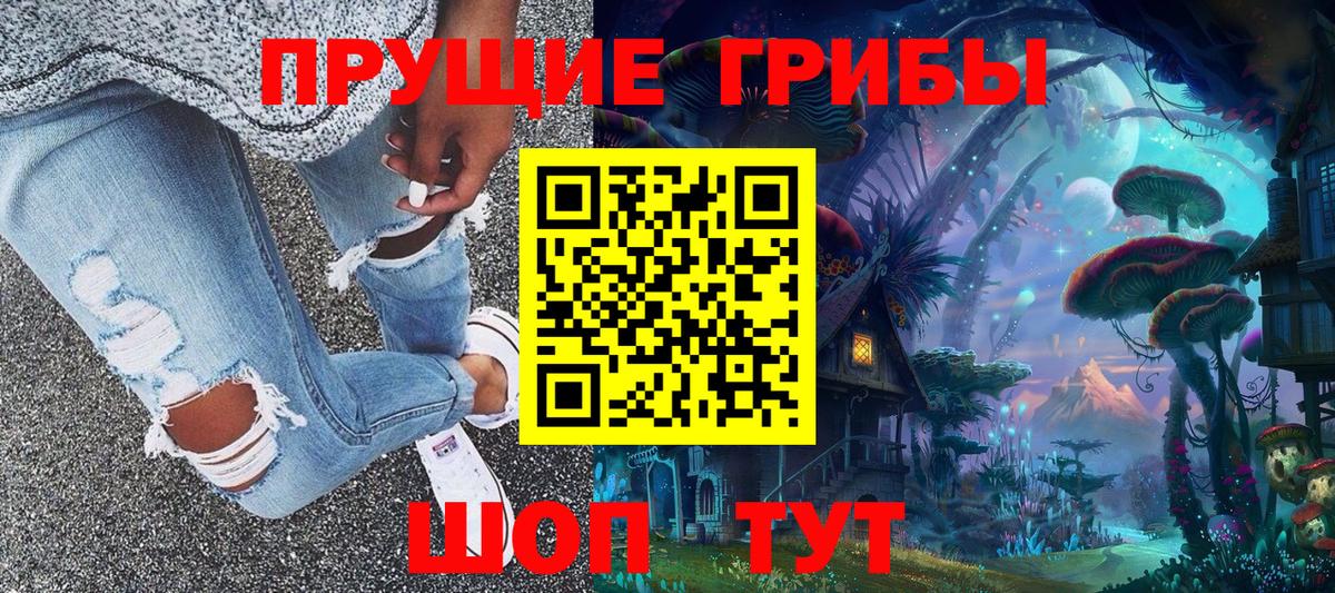 Псилоцибиновые грибы мухоморы  Дивногорск  Псилоцибиновые грибы Psilocybe 