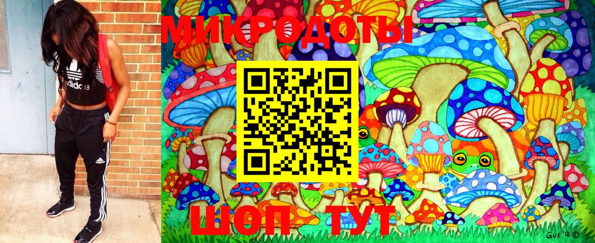 Псилоцибиновые грибы Psilocybe Дивногорск