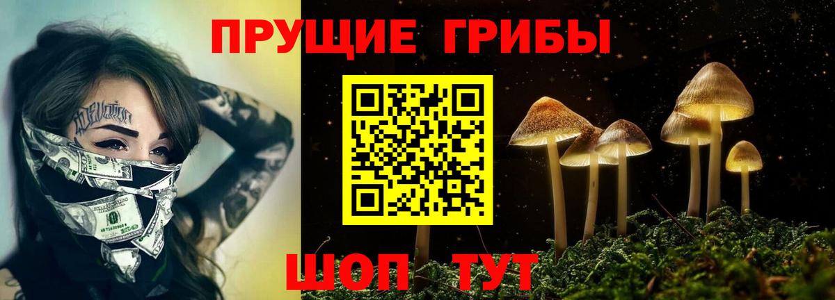 Галлюциногенные грибы Cubensis Дивногорск